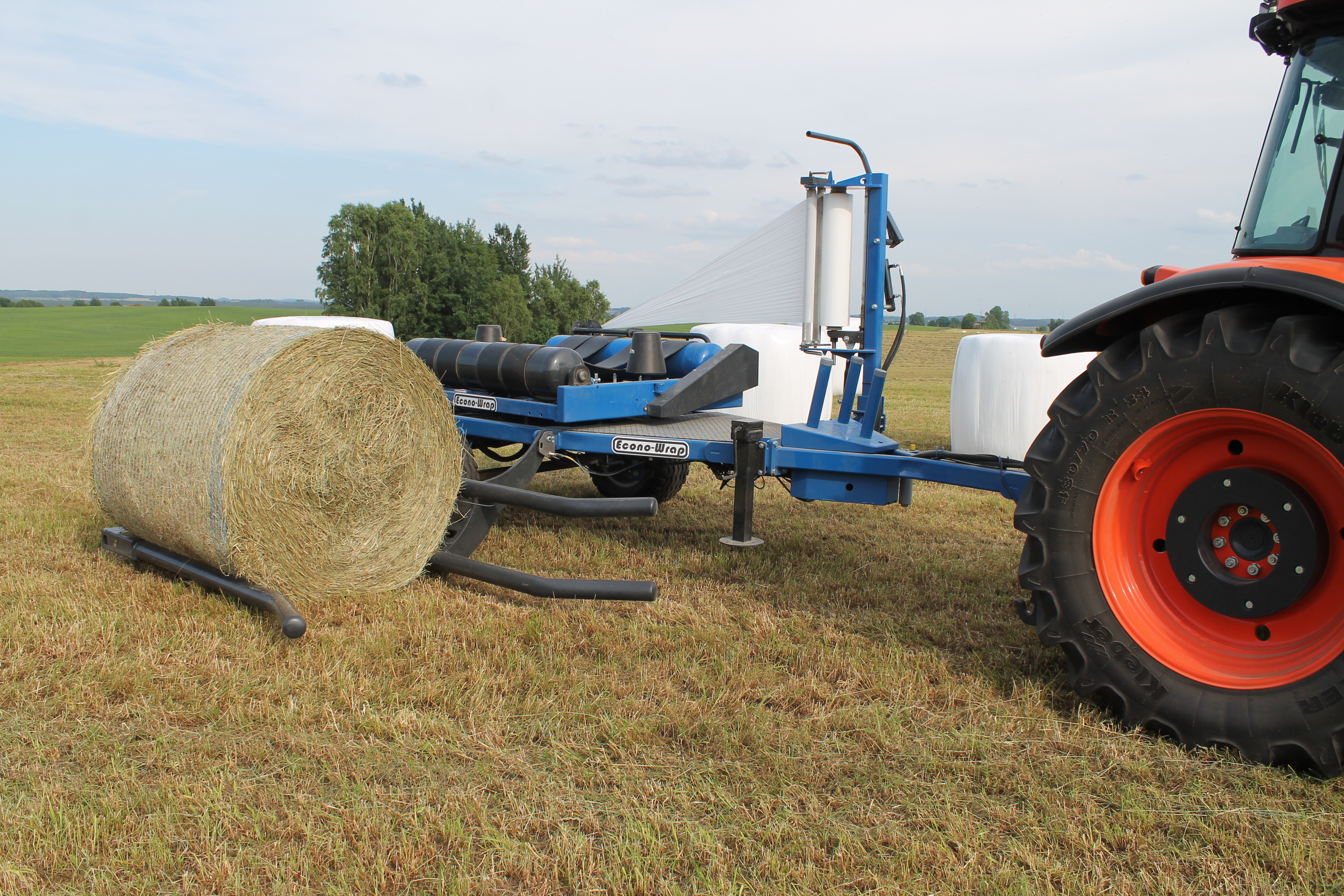IMG_6636_0.JPG