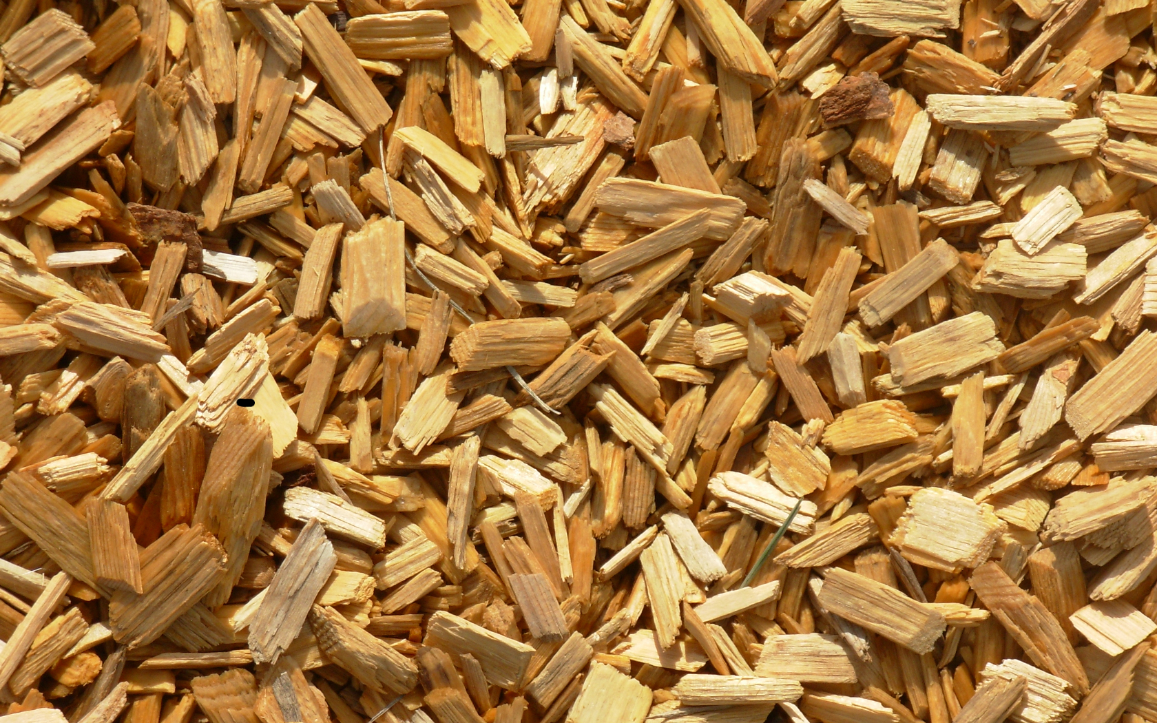 wood chipps.jpg
