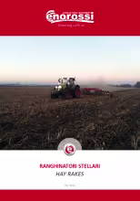 hay rake literature